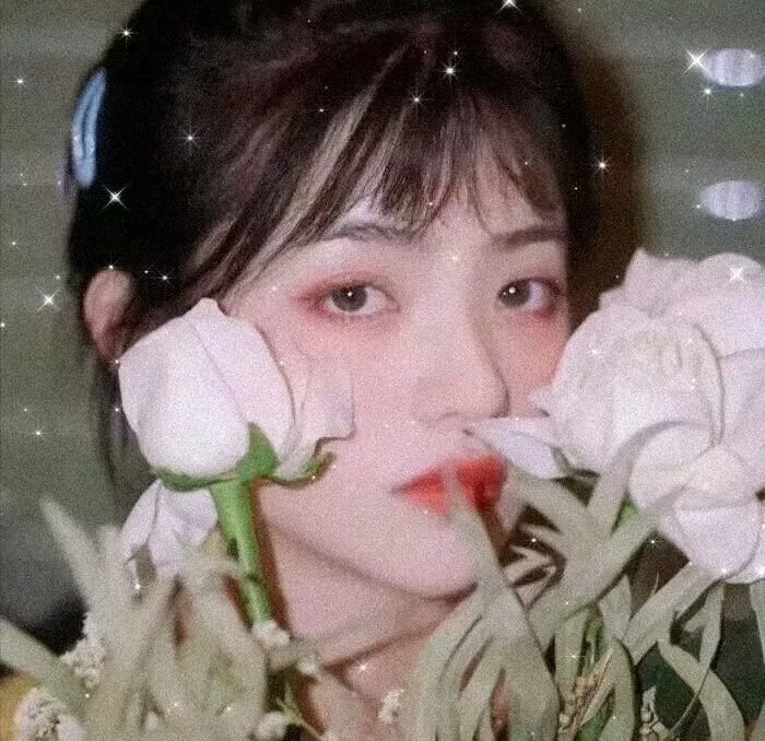 象群女王